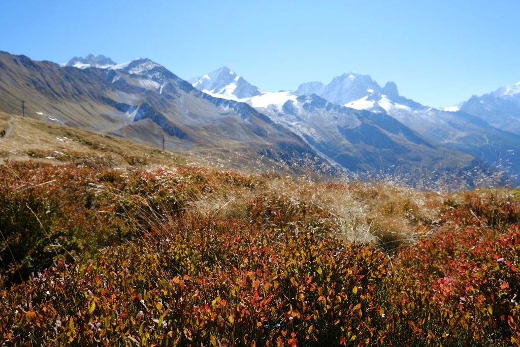 hiking-haute-route-charmonix-trient-1