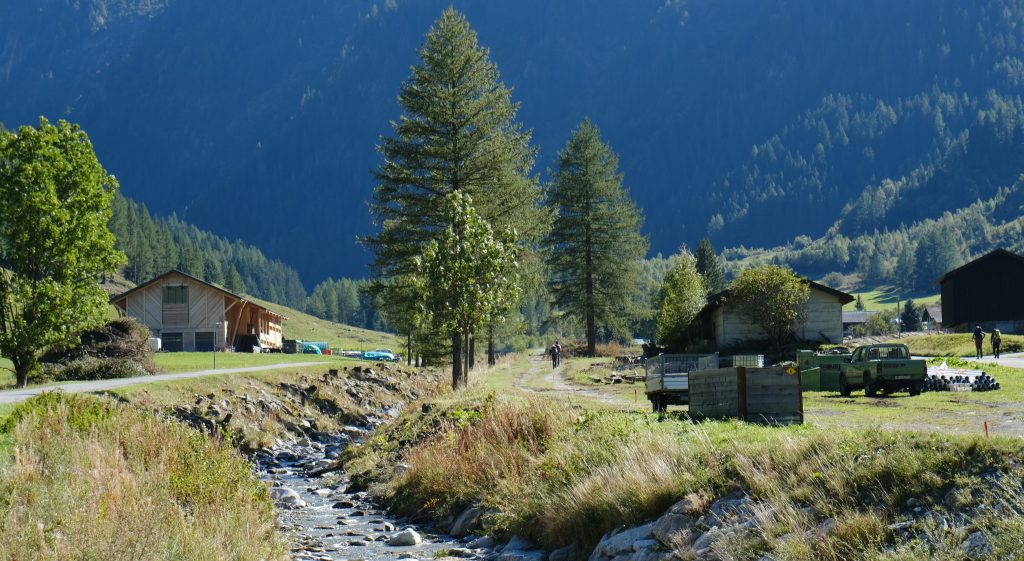 hiking-haute-route-trient