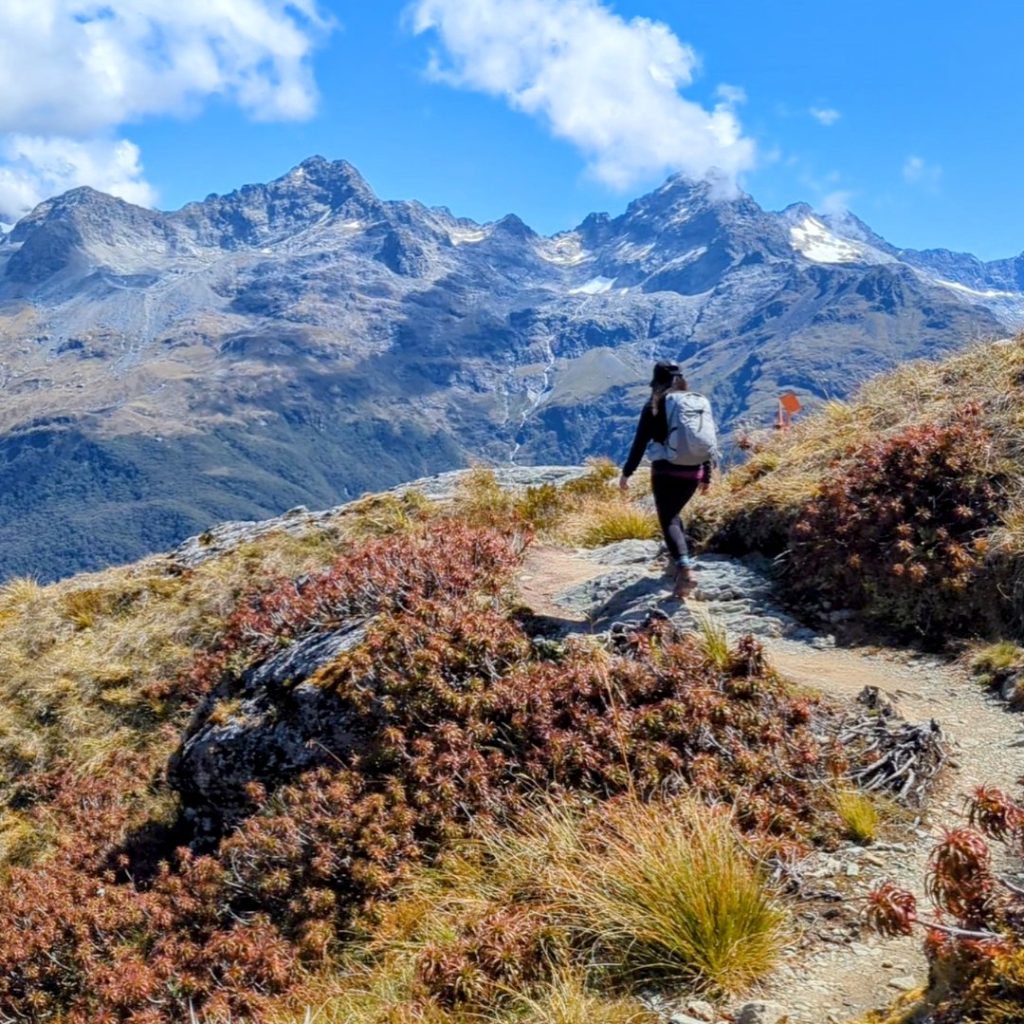 Routeburn_track_valley