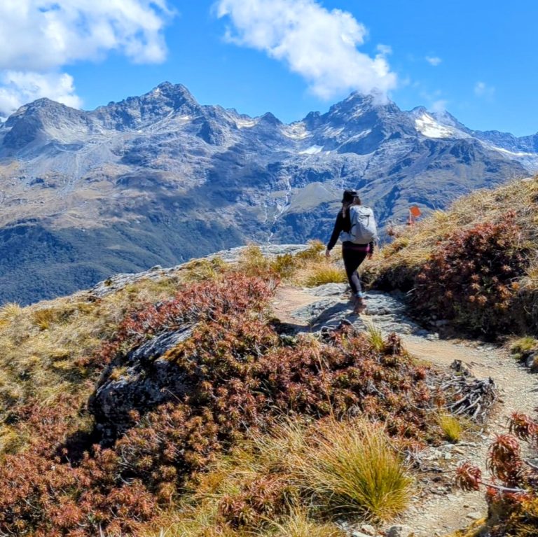 Routeburn_track_valley