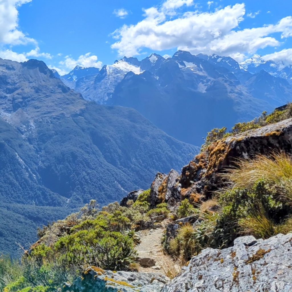 Routeburn_track_valley_2