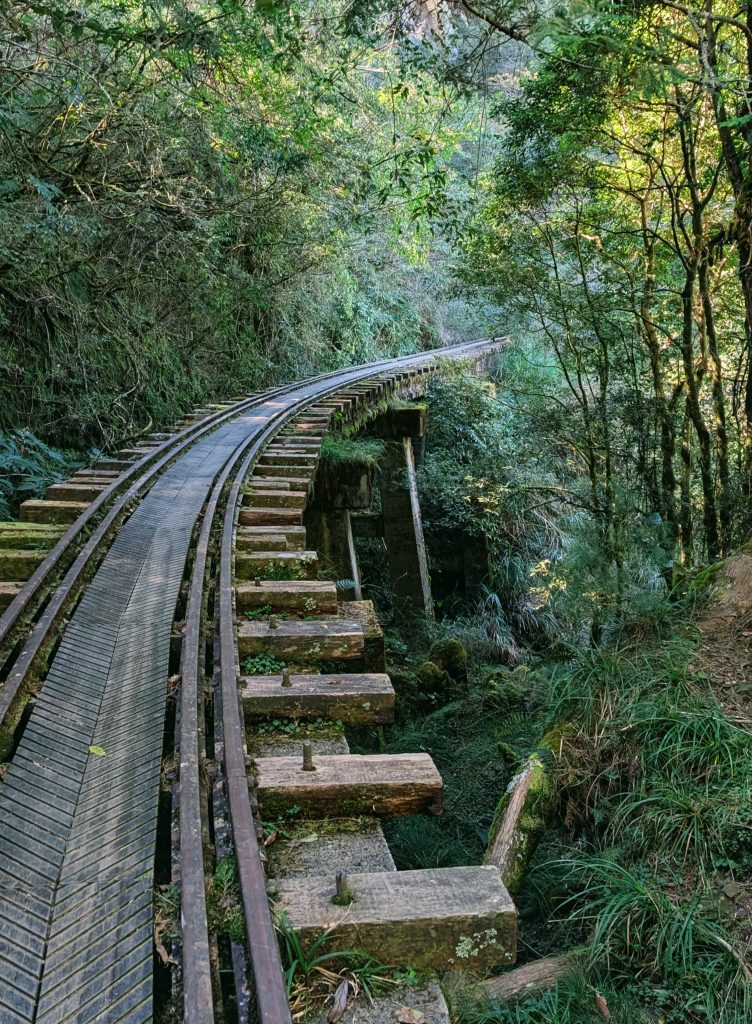 Alishan_Mianyue_Trail_2