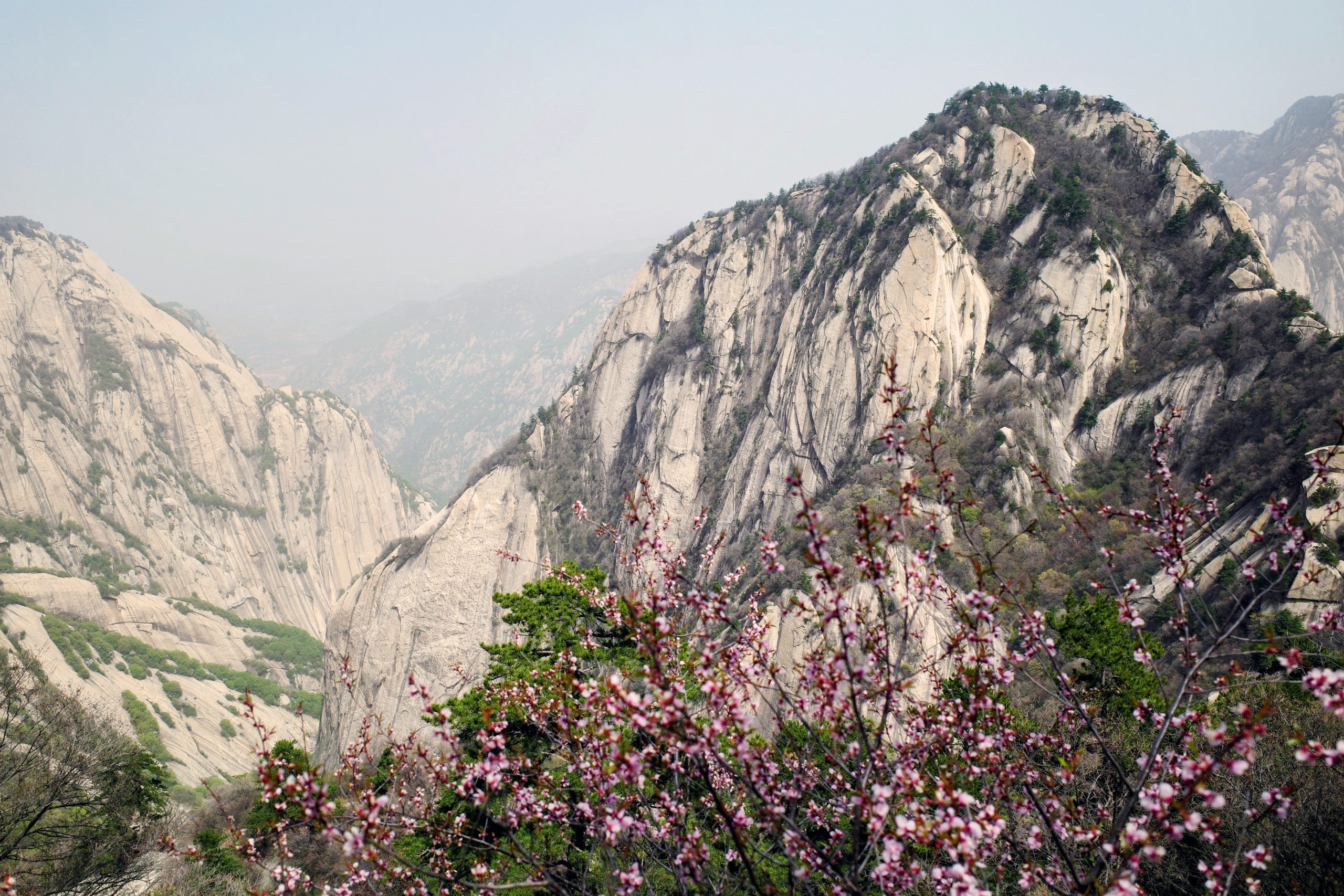 Mt Hua